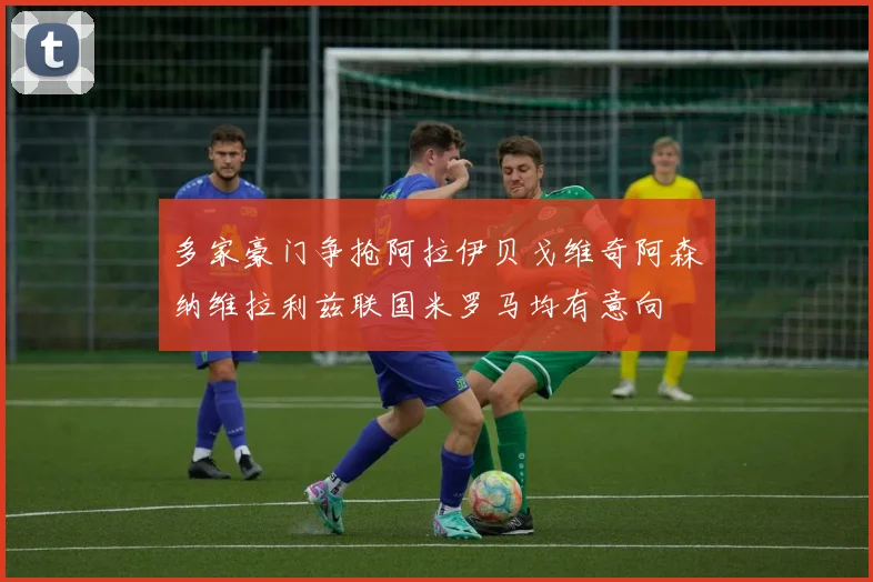 多家豪门争抢阿拉伊贝戈维奇阿森纳维拉利兹联国米罗马均有意向